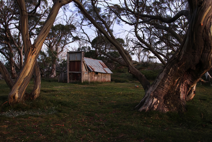Image by Jill Hancock